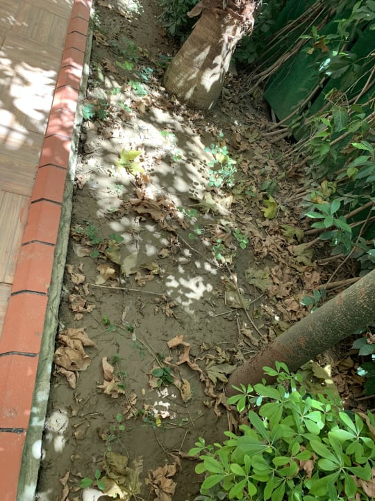 Pool Dream World Resort & Spa