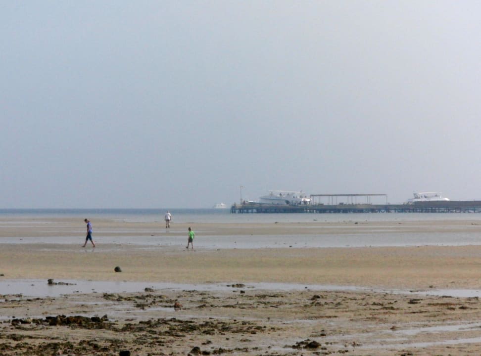 Ebbe Hotel Titanic Palace