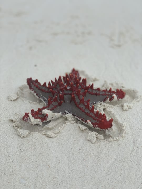 Strand Royal Zanzibar Beach Resort