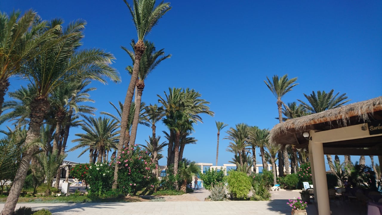 Gartenanlage Zita Beach Resort