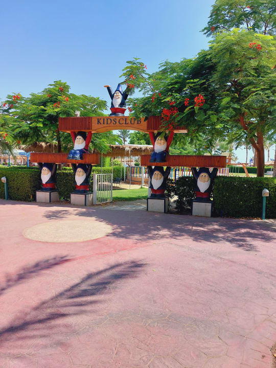 Sport & Freizeit Desert Rose