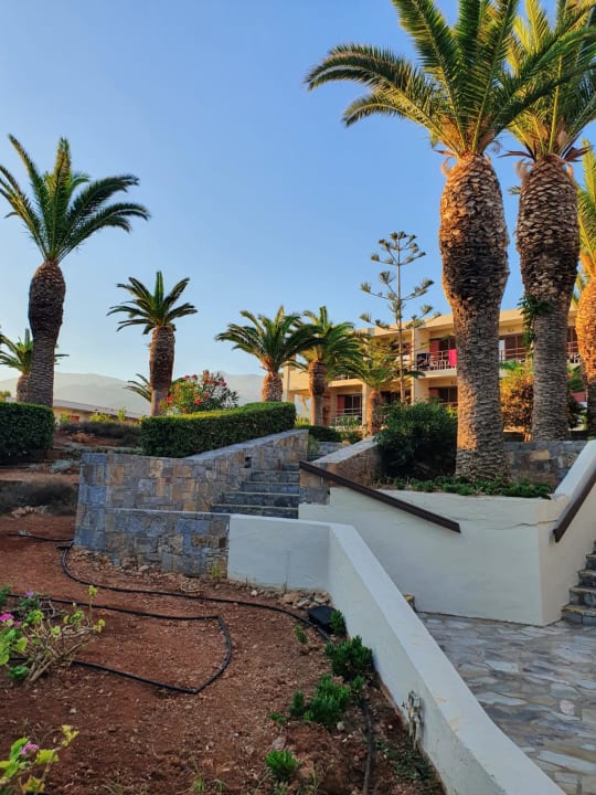 Gartenanlage allsun Hotel Malia Beach