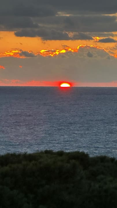 Ausblick Gardenia Hotel