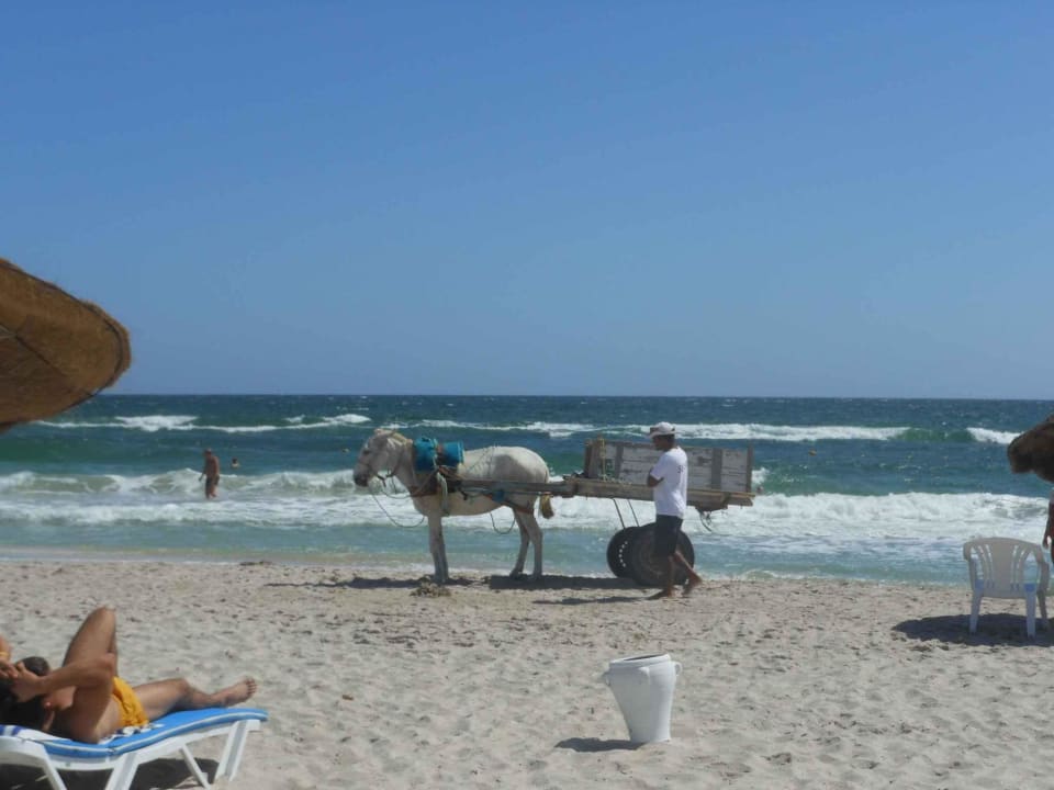 Strandreinigung  El Mehdi Beach Resort