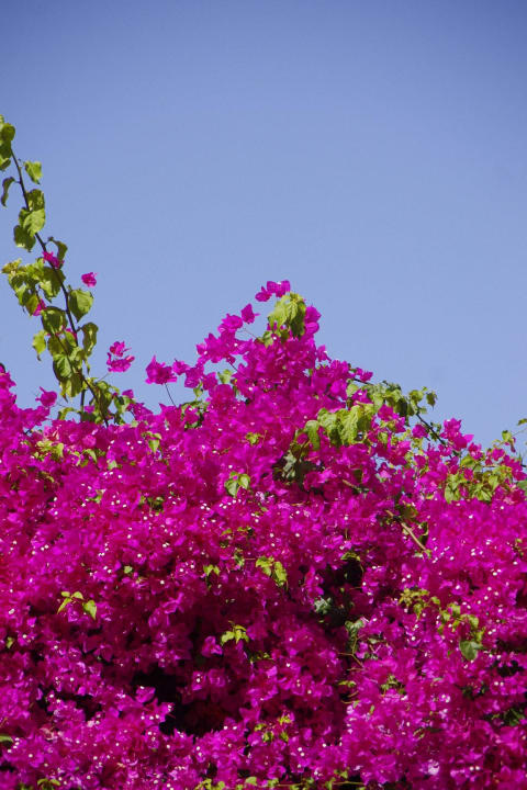 Septembre Dimitrios Beach Hotel