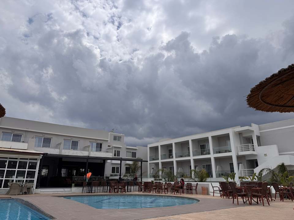 Pool Delfina Tropic Beach