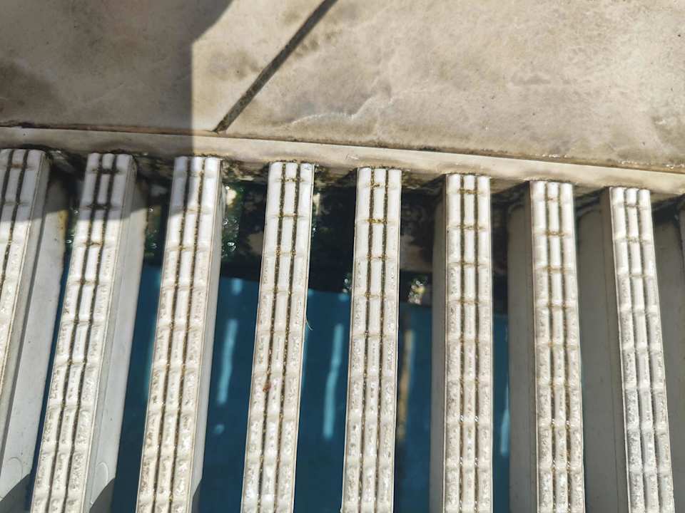 Pool Asteria Family Resort Side