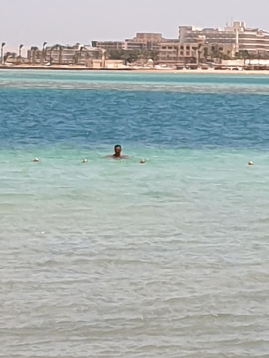 Ausblick Sea Star Beau Rivage