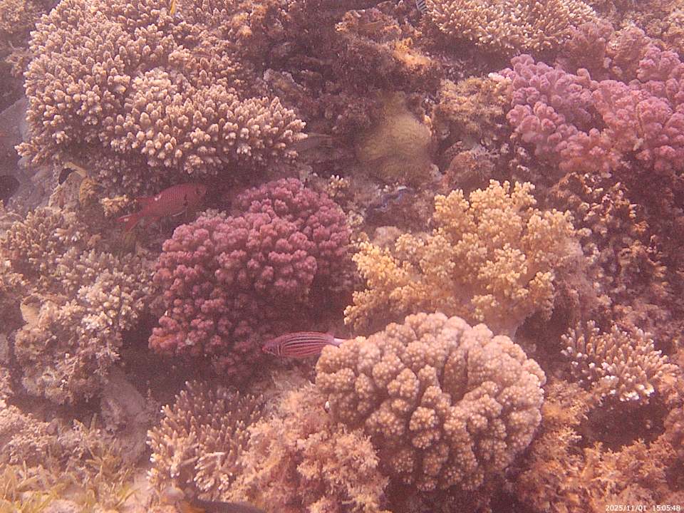 Strand Bella Vista Resort Hurghada