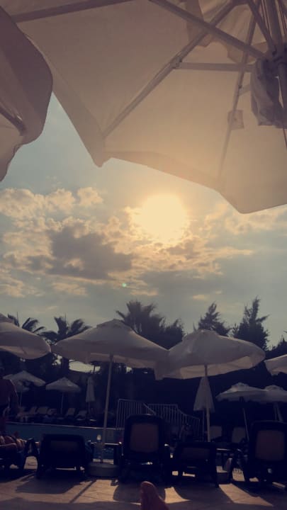 Pool Well Palace Side