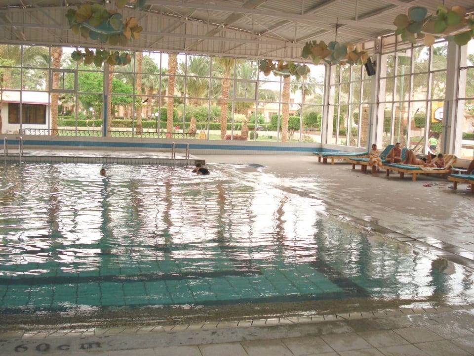 Hallenbad Beach Albatros Resort