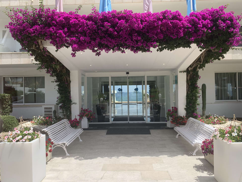 Lobby Grupotel Aguait Resort & Spa - Adults only