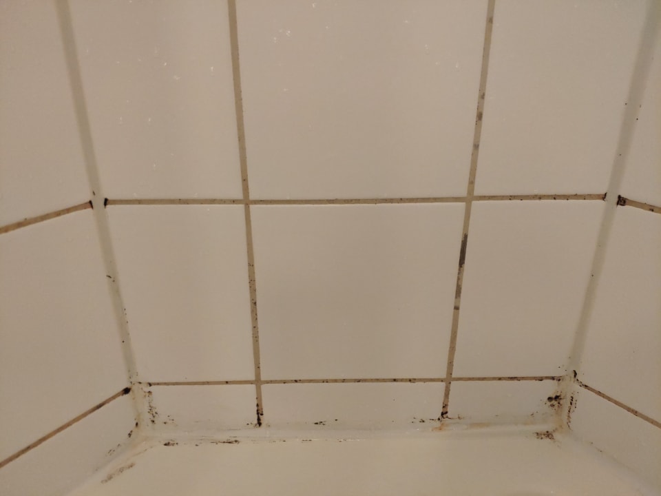 Zimmer ibis Wien City