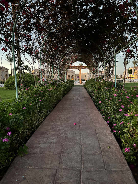 Gartenanlage Cleopatra Luxury Resort Makadi Bay