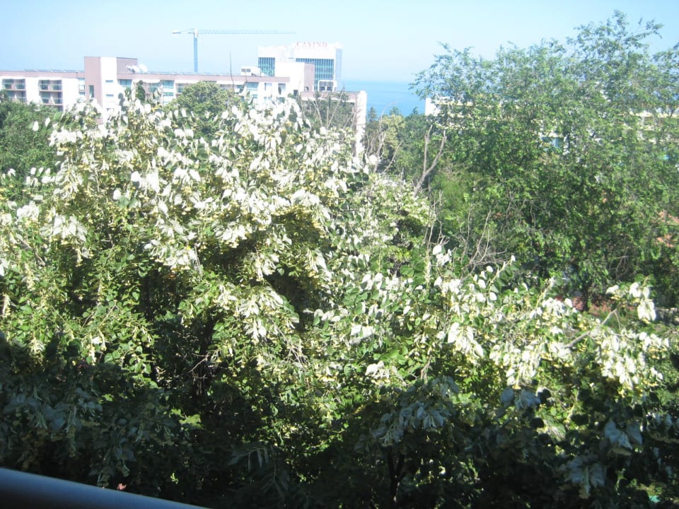 Hotel Kristal Hotel Kristal