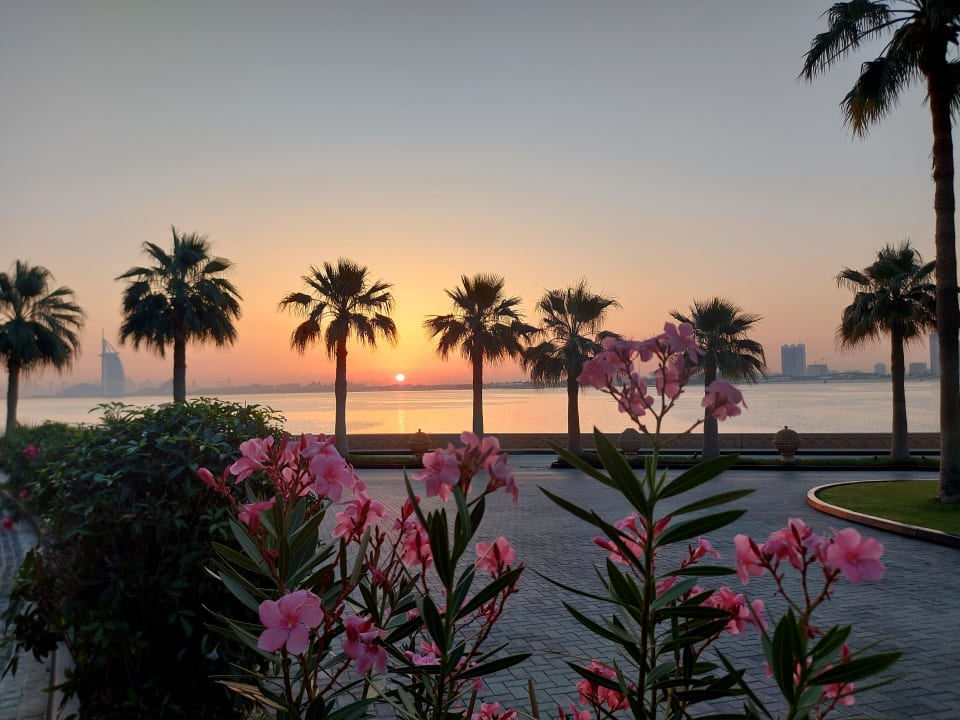 Gartenanlage Rixos The Palm Hotel & Suites