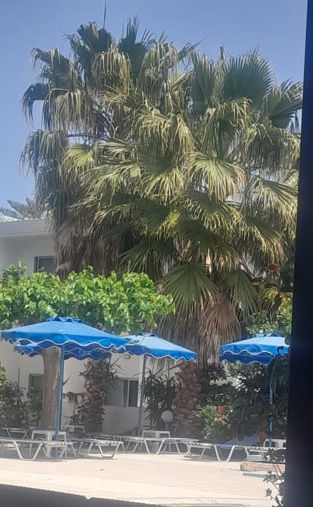 Gartenanlage Hotel Faliraki Bay