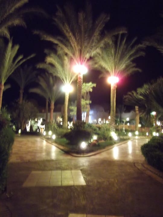 Weihnachtliche Beleuchtung Jaz Makadi Oasis Resort