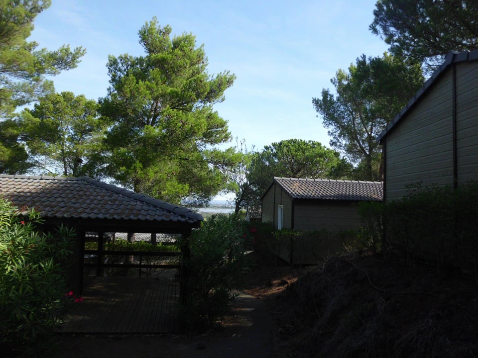 Aussicht vom Bungalow Residence Grand Bleu Les Pescalunes