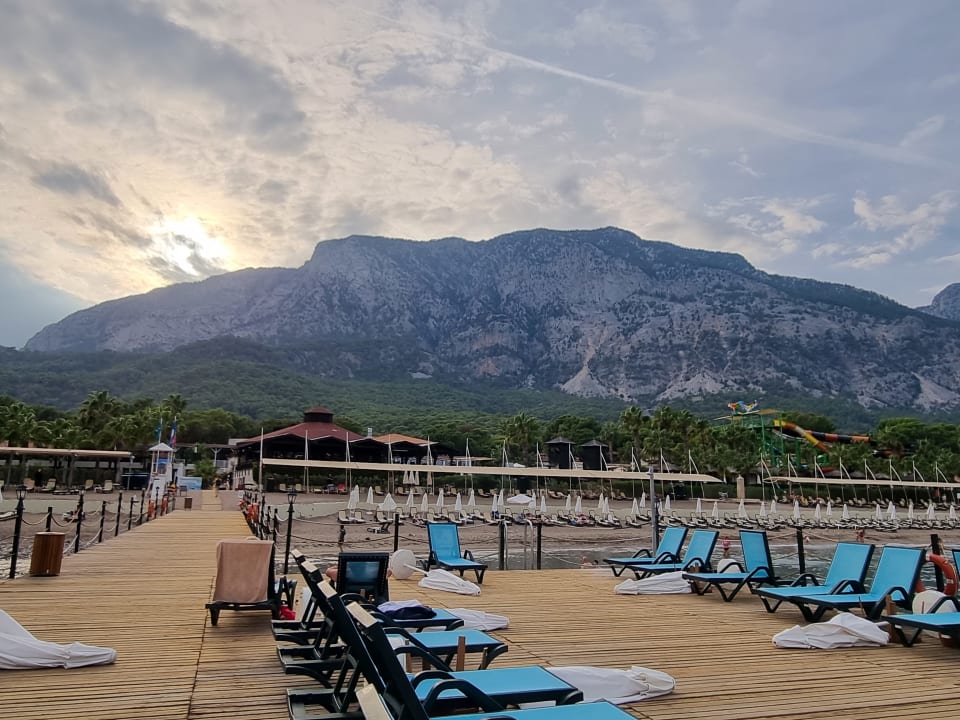 Strand Crystal Flora Pearl Collection