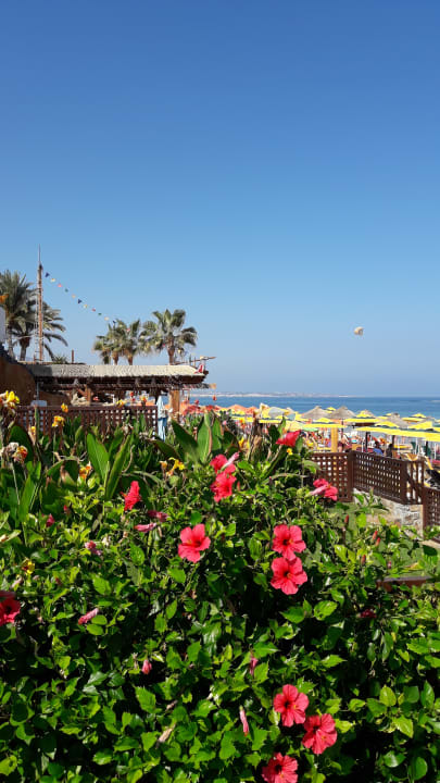 Gartenanlage High Beach Resort