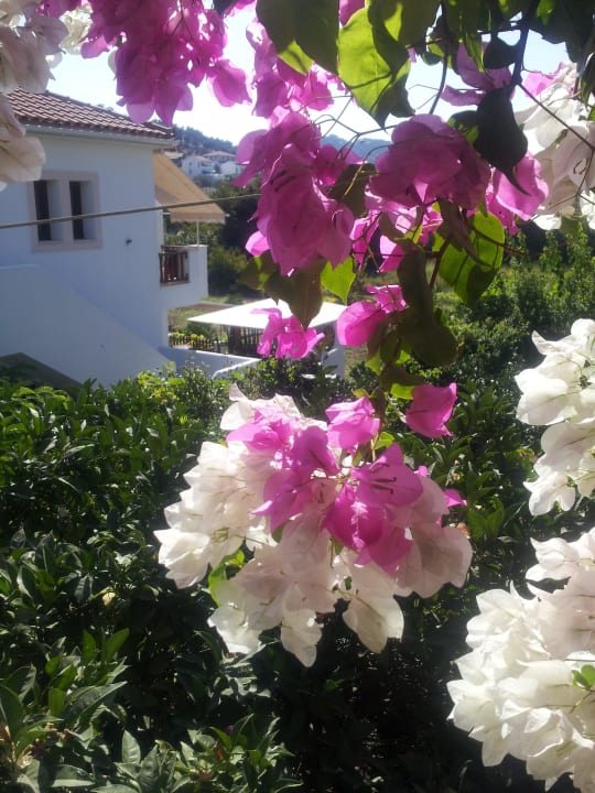 Ausblick Zimmer 26 Hotel Golden Sun