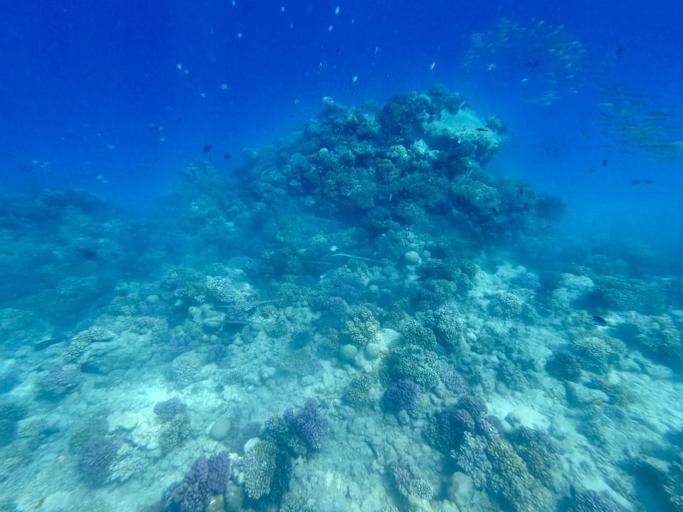 Strand Pickalbatros Citadel Resort