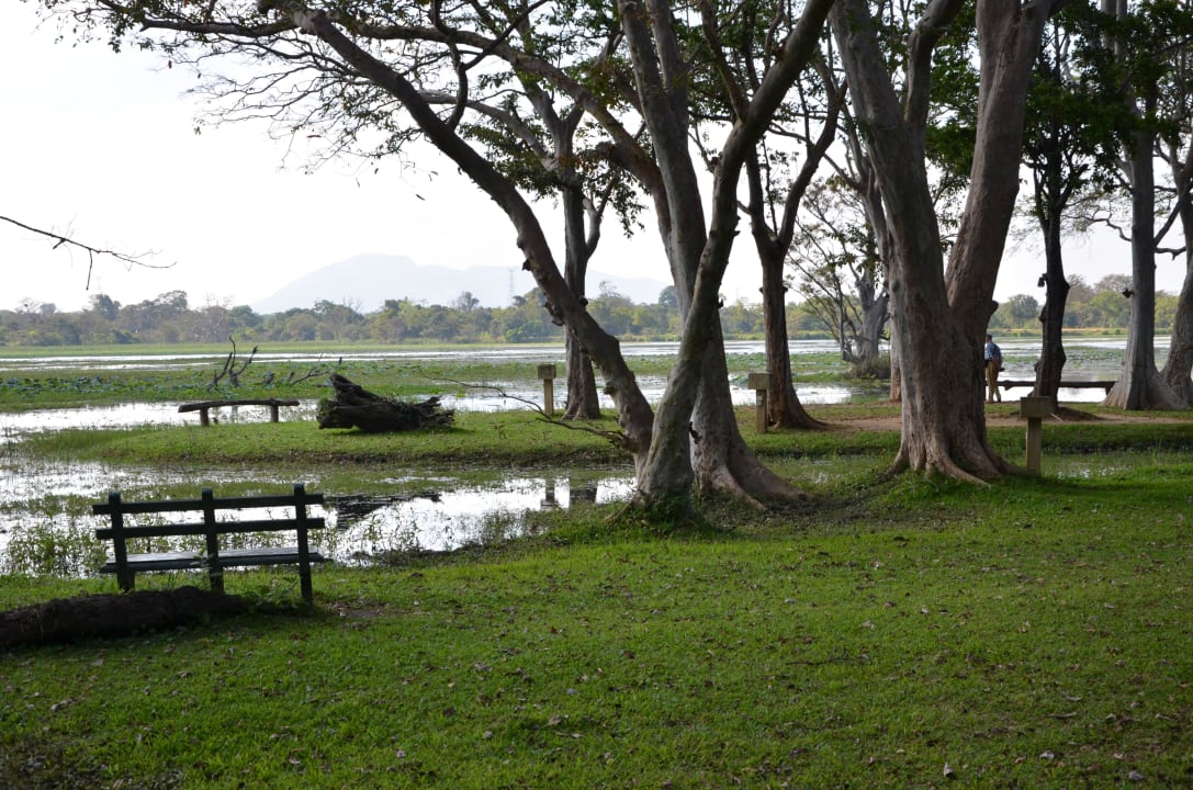 Blick zum See Cinnamon Lodge Habarana