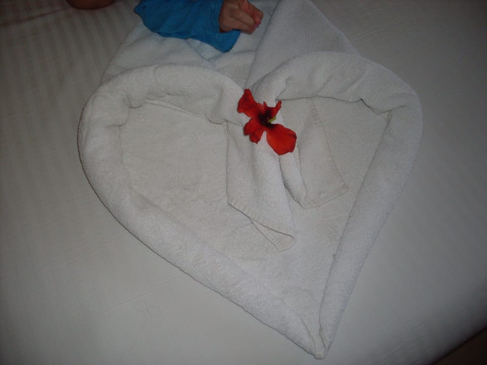 Сюрприз в номере Beach Albatros Resort