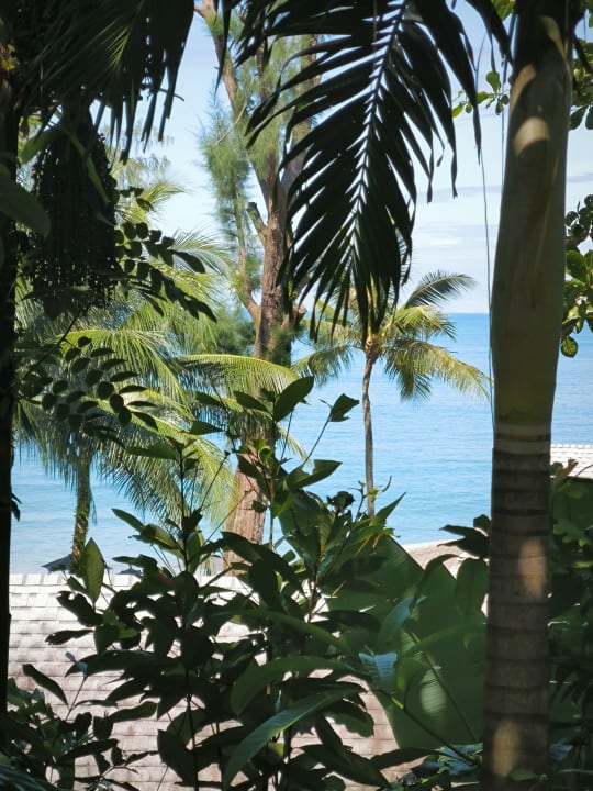 Gartenanlage Moracea by Khao Lak Resort