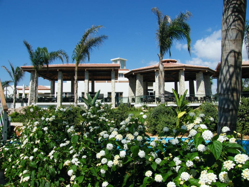 Terrasse Hauptrestaurant Olympic Lagoon Resort Ayia Napa