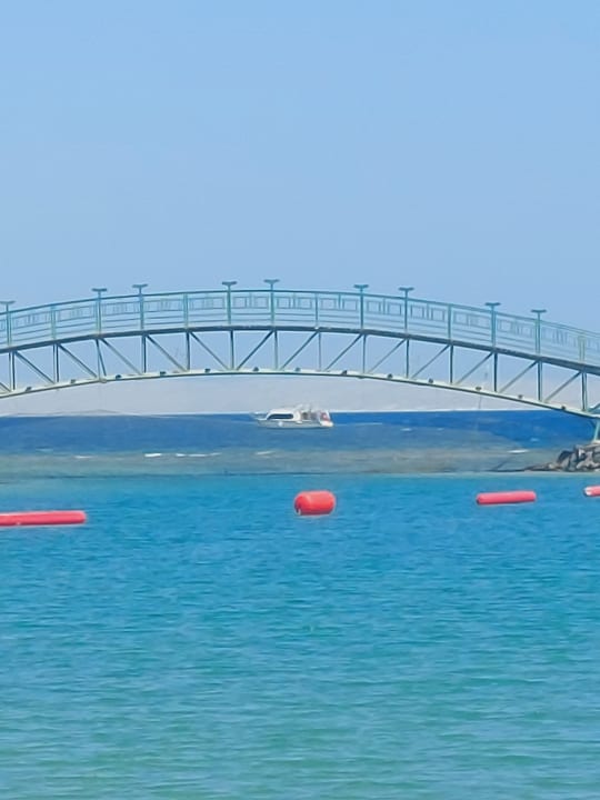 Ausblick Desert Rose