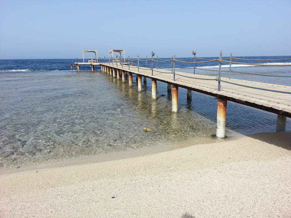 Hotel-Steg zum Hausriff The Oasis Dive Resort