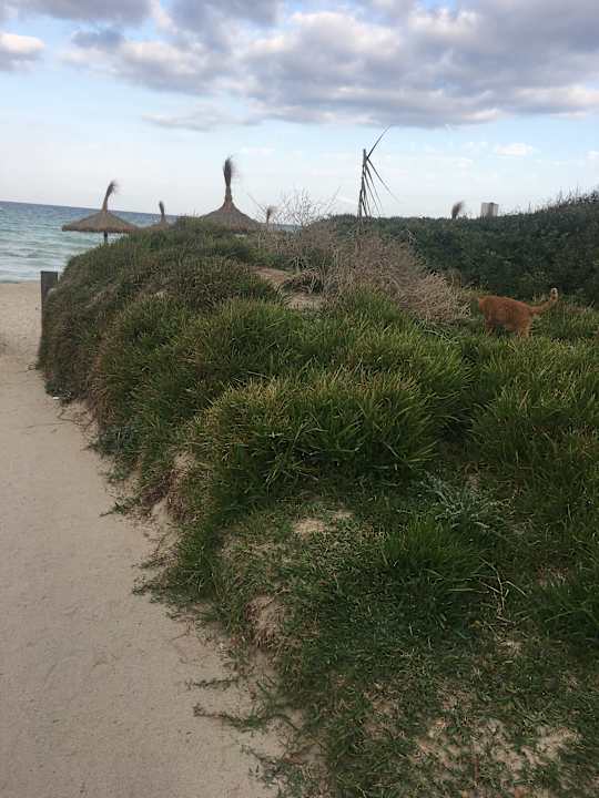 Strand Playa Esperanza Resort