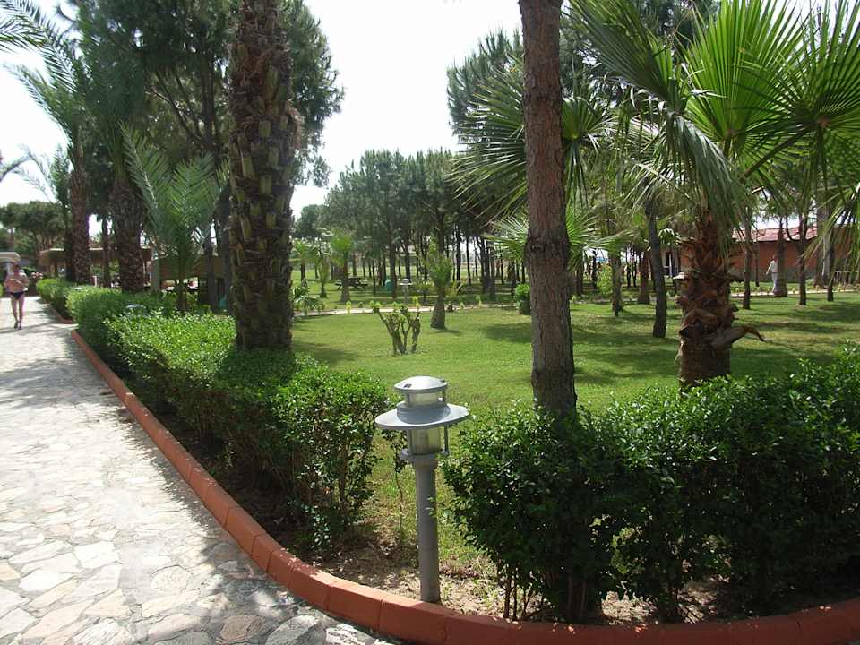 Gepflegt und sauber Club Turtas Beach Hotel