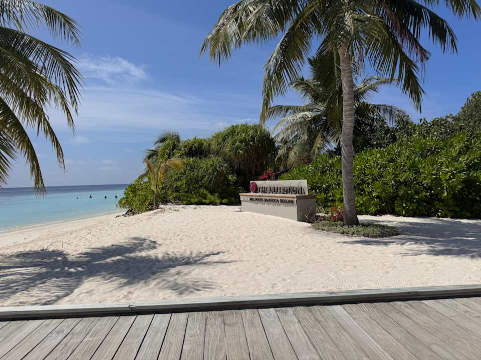 Ausblick NH Collection Maldives Havodda Resort