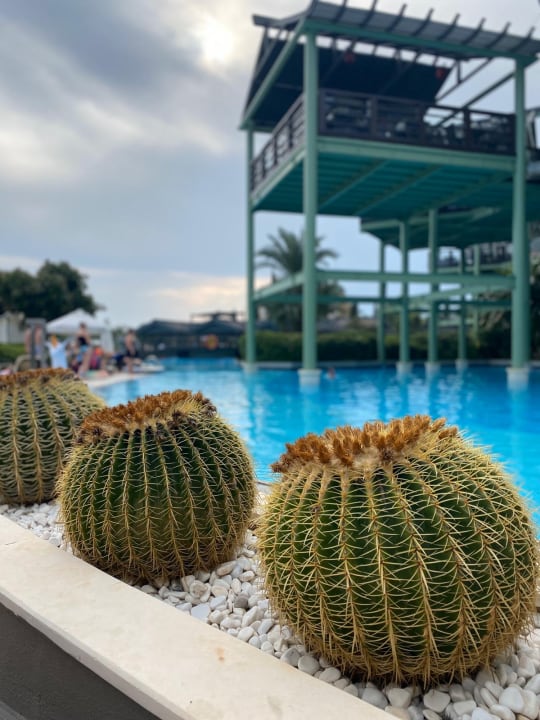 Pool Limak Lara Deluxe Hotel & Resort