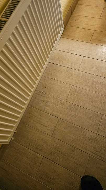 Zimmer Gasthaus Zur Alten Fähre