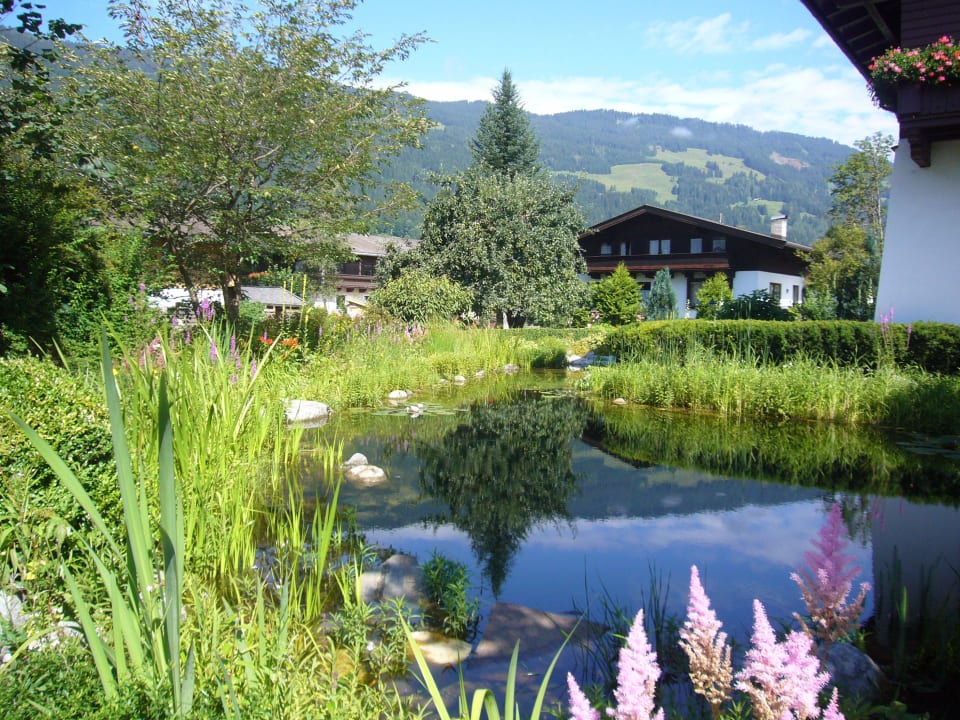 Omgeving Ferienhaus Mandl Pool Sauna bei Zell am See