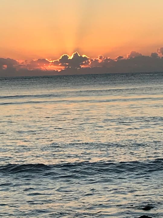 Außenansicht Akumal Bay Beach & Wellness Resort