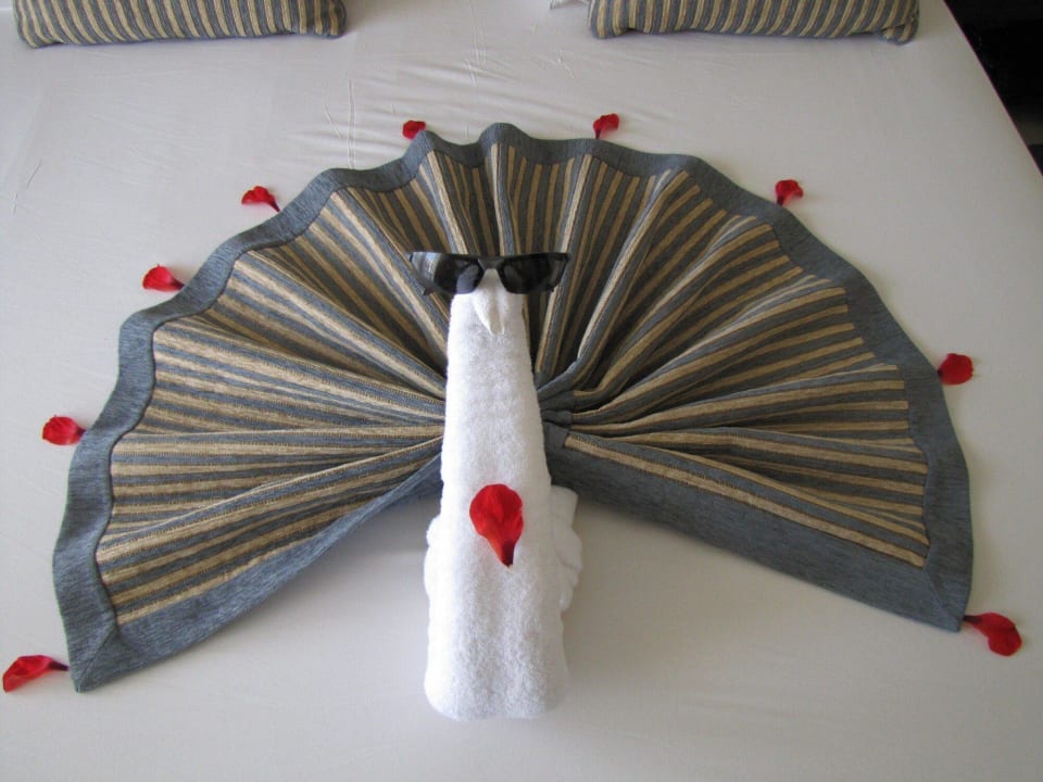 Jeden Tag etwas Neues Jaz Bluemarine