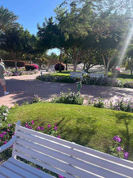 Gartenanlage Desert Rose