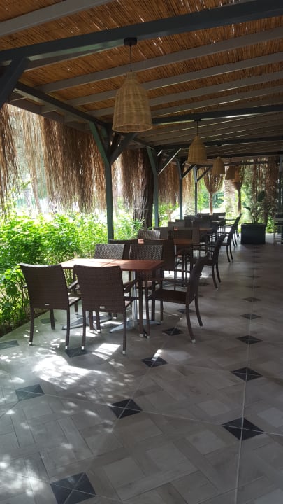 Gastro Asteria Collection Side