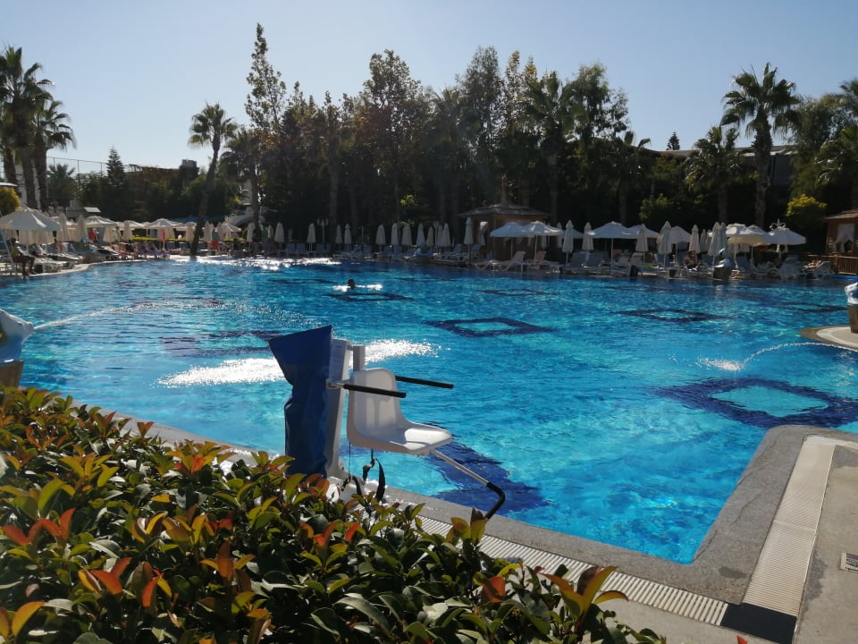 Pool Hotel Delphin Imperial