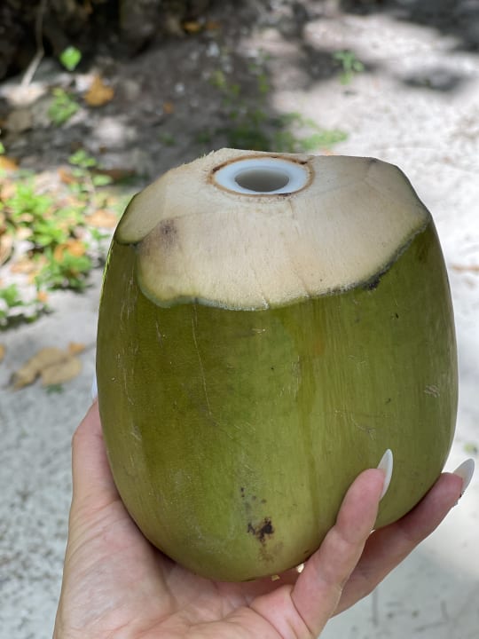 Gartenanlage Meeru Maldives Resort Island