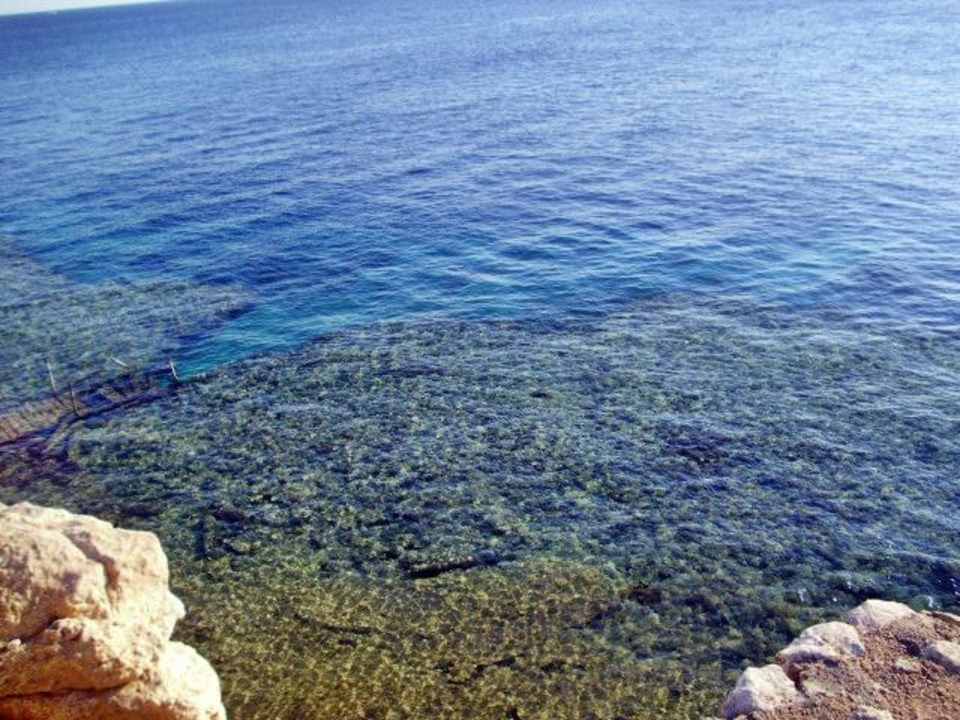 Blick vom Strand auf das Hausriff Siva Sharm