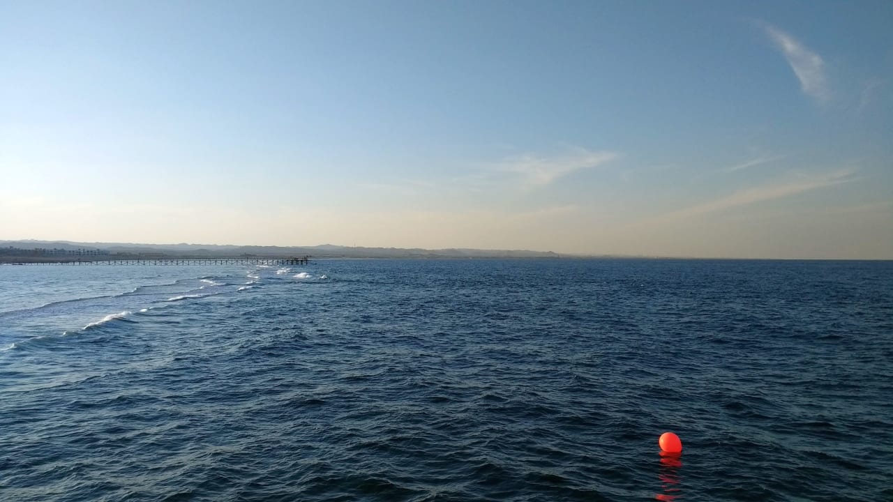 Ausblick Pickalbatros Sea World Resort - Marsa Alam
