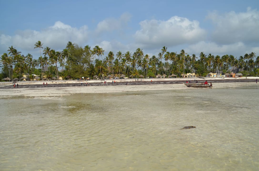 Ebbe TUI Blue Bahari Zanzibar