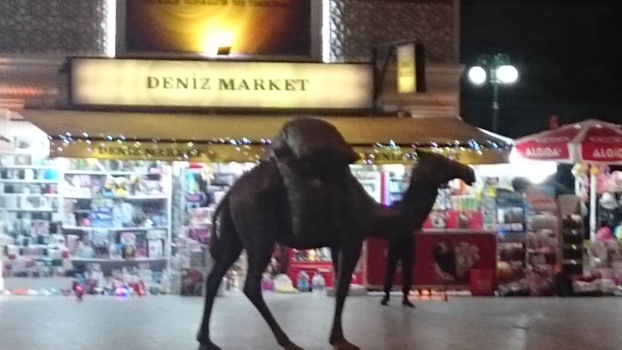 Sonstiges Side Aquamarin Resort & Spa