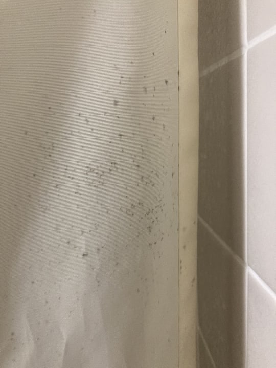 Zimmer Hotel Route-Inn Kumamoto Ekimae